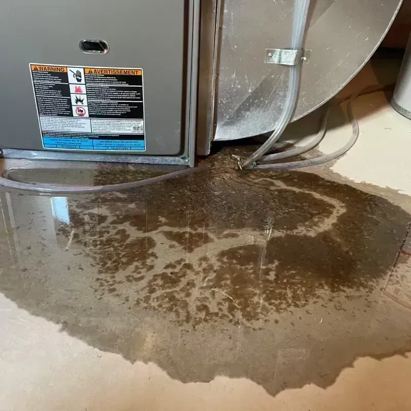 Appliance Leak Cleanup in Lincoln Park, IL